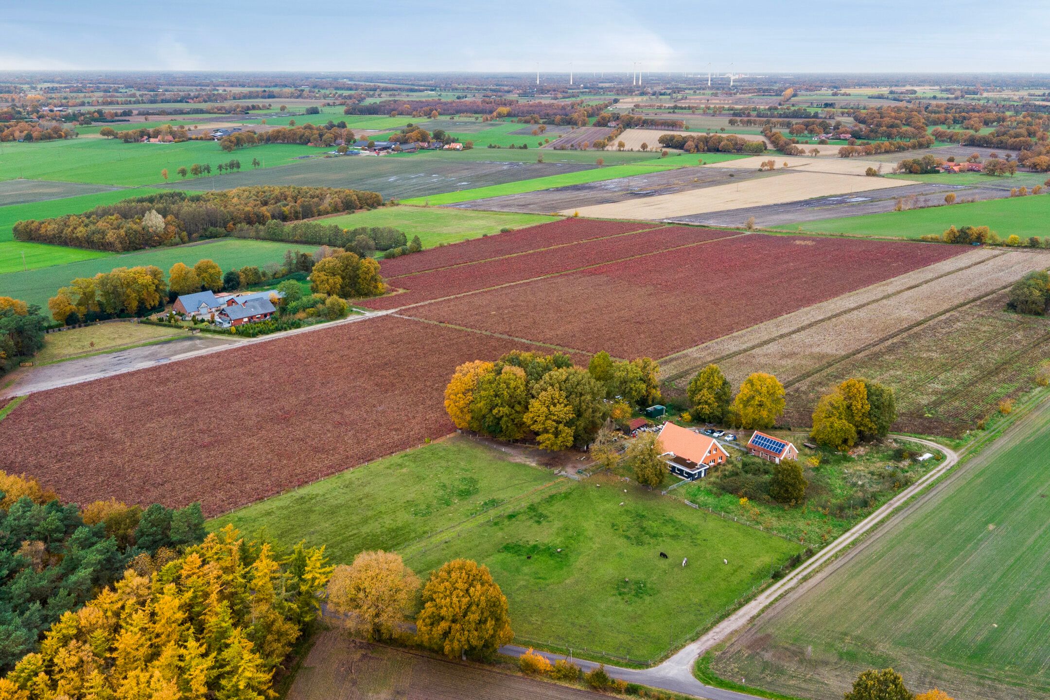 Photo 3 of Hooge Weg 4