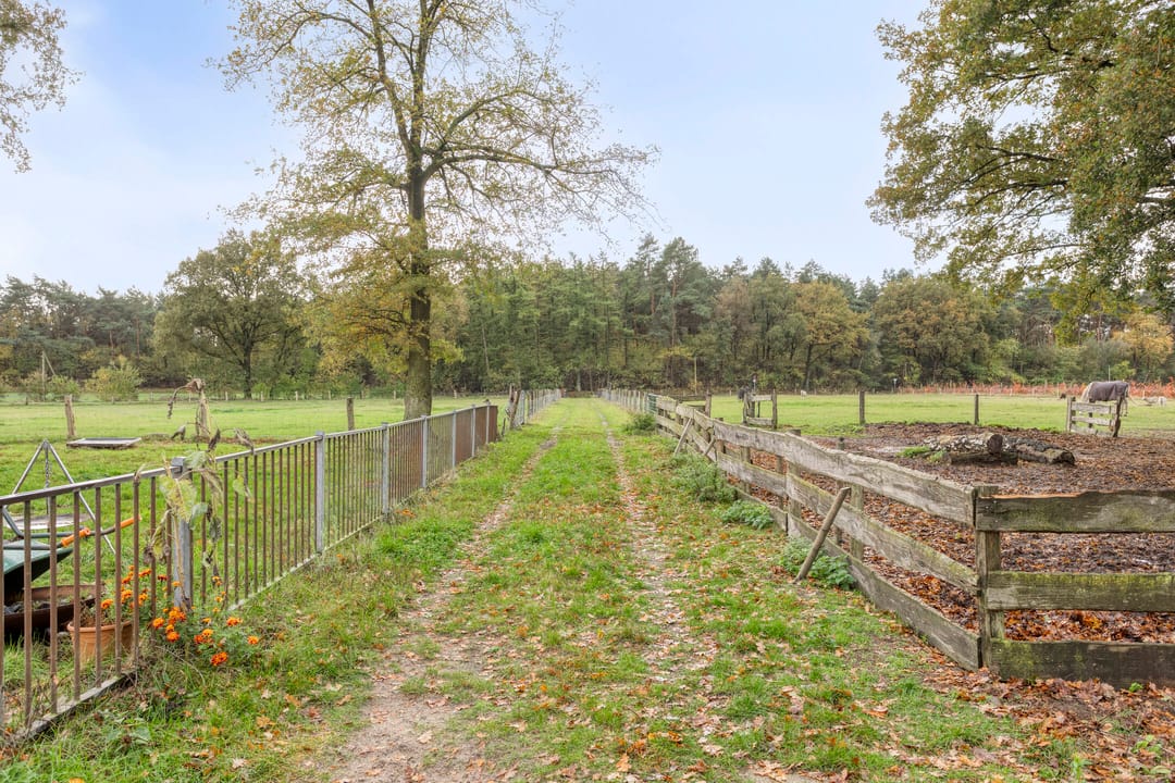 Photo 41 of Hooge Weg 4