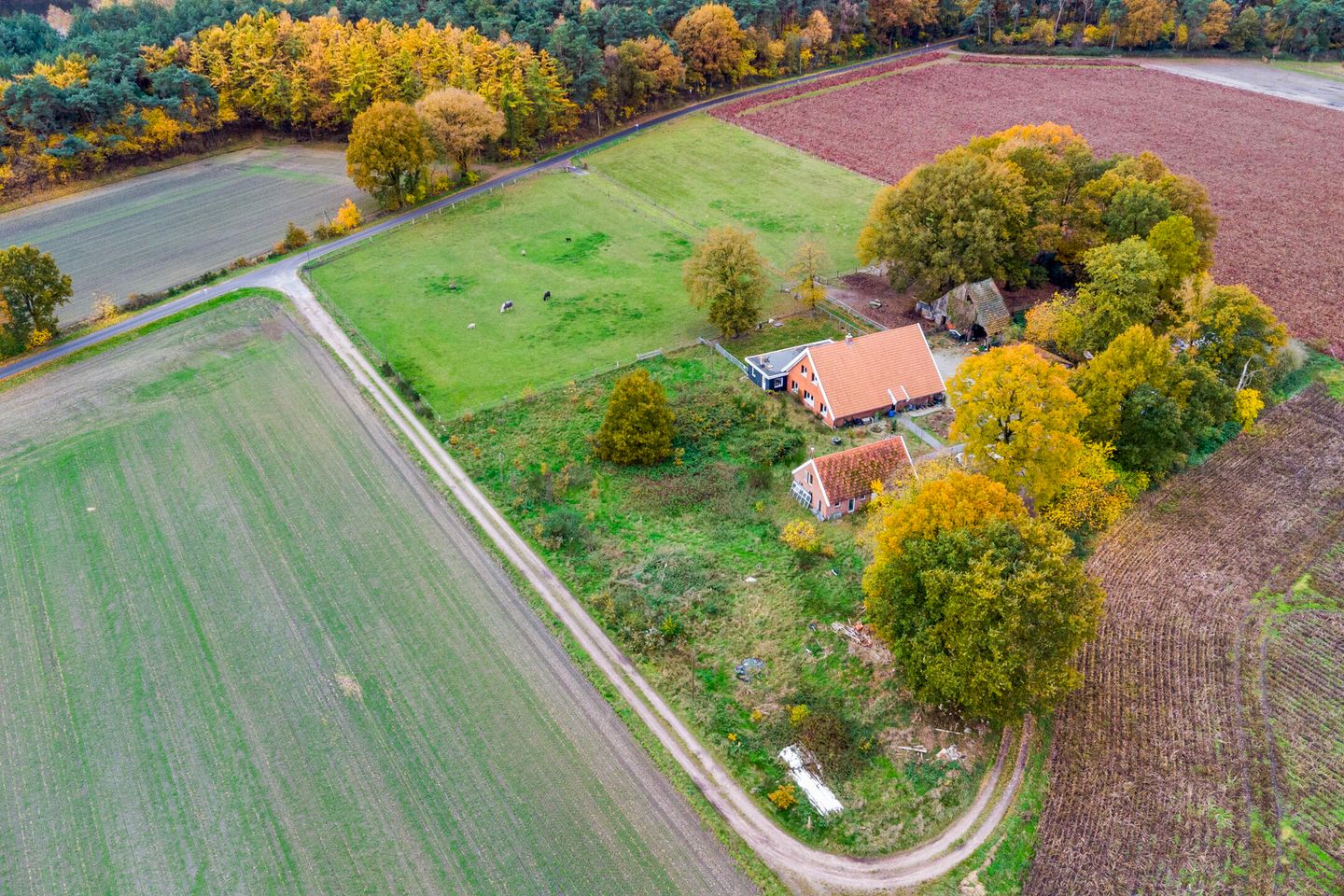 Photo 44 of Hooge Weg 4