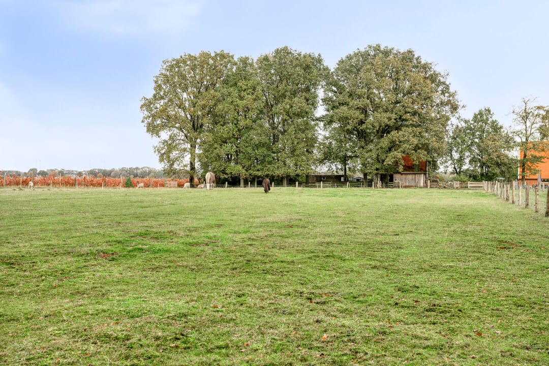 Photo 43 of Hooge Weg 4