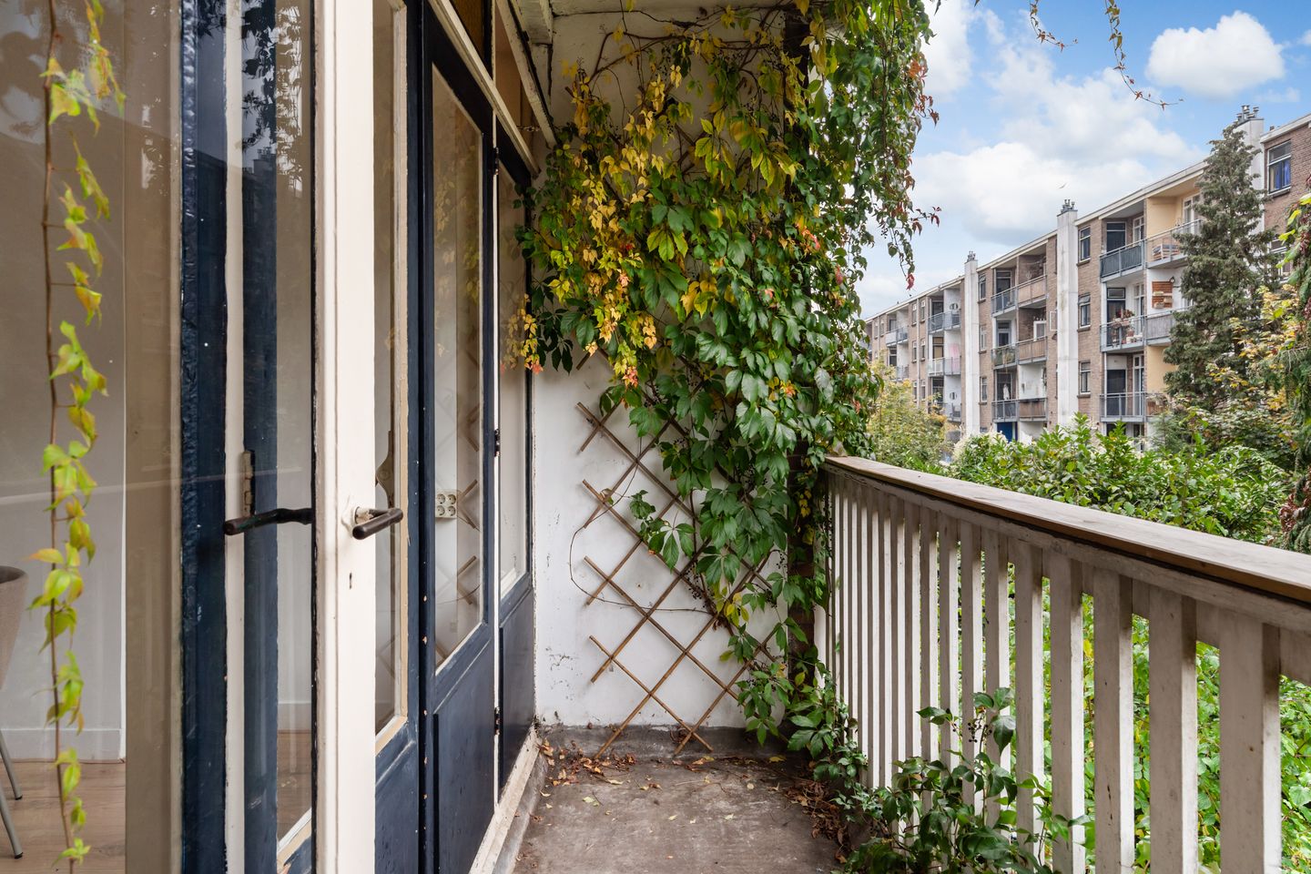 Foto 20 van Borgesiusstraat 13-A02