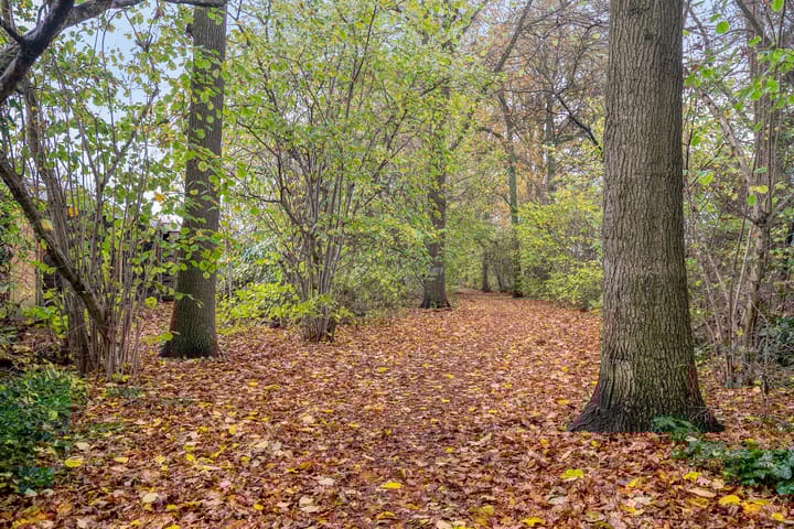 Photo 36 of Het Erf 145