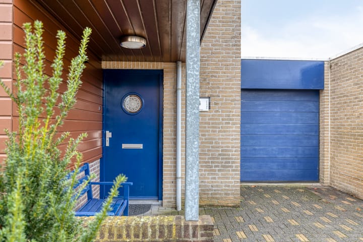 Photo 6 of Kleefkruid 4