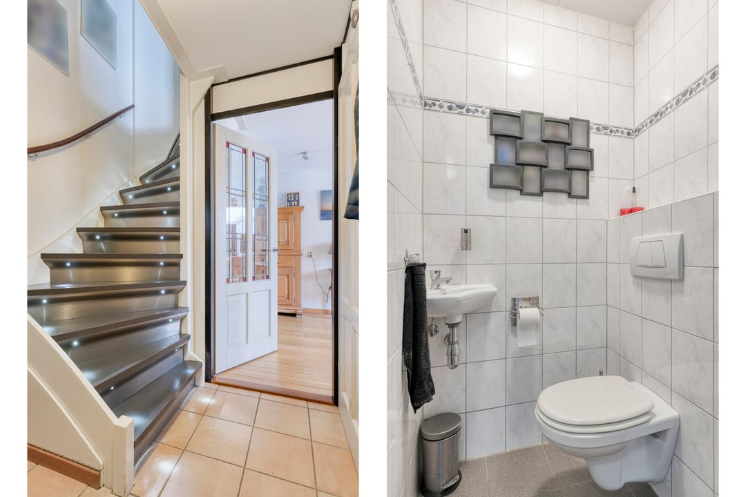 Foto 8 van Kleefkruid 4