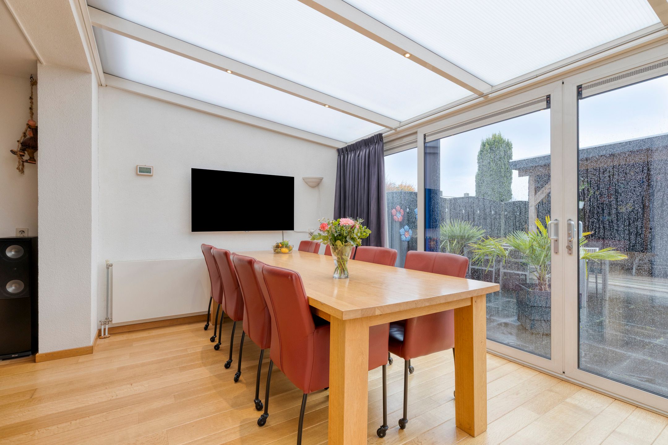 Foto 12 van Kleefkruid 4