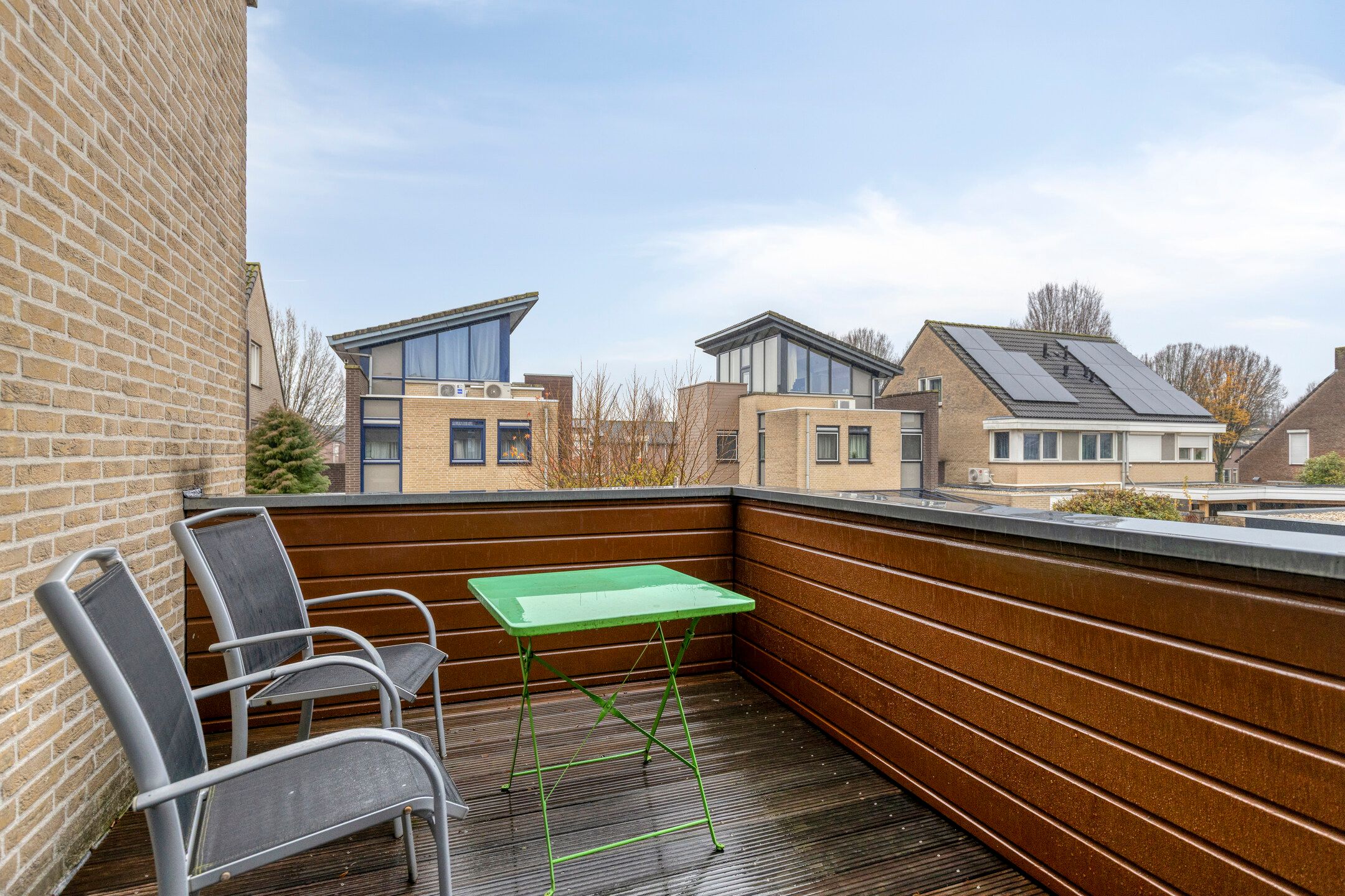 Foto 24 van Kleefkruid 4