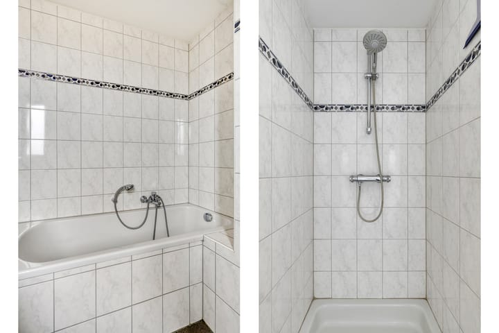 Photo 26 of Kleefkruid 4