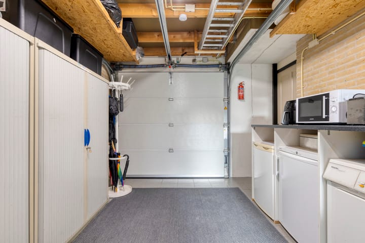 Photo 38 of Kleefkruid 4