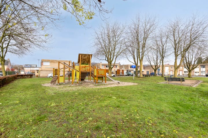 Photo 41 of Kleefkruid 4