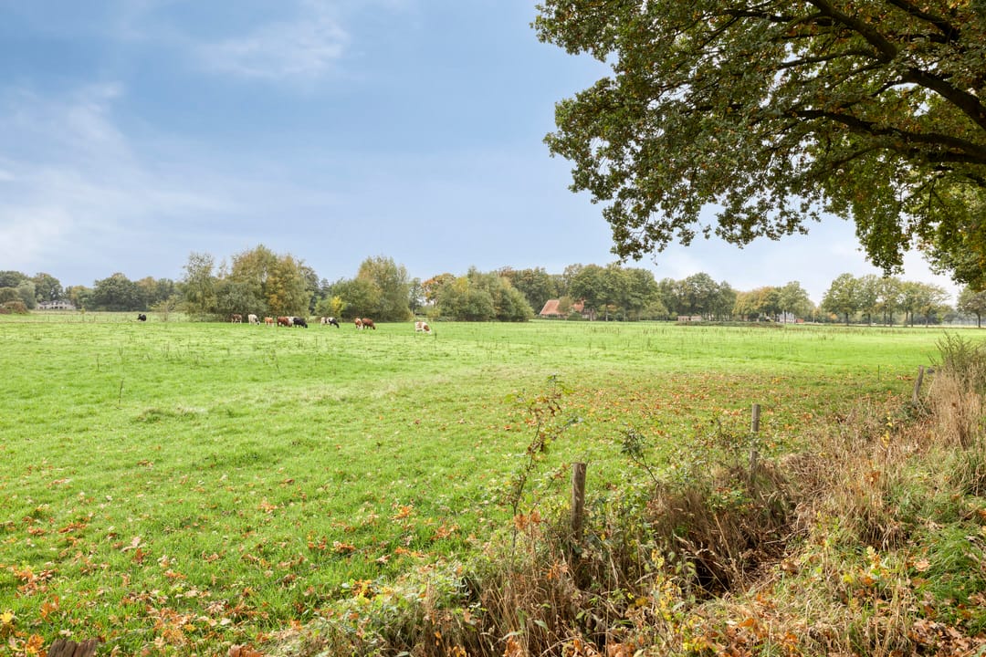 Photo 46 of Elferinksweg 10