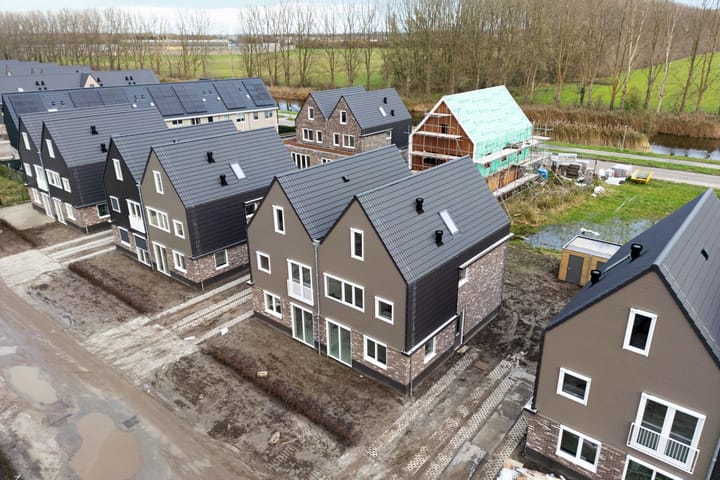 Photo 4 of Moerasorchidee 29