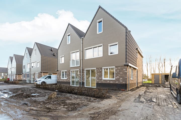 Photo 5 of Moerasorchidee 29