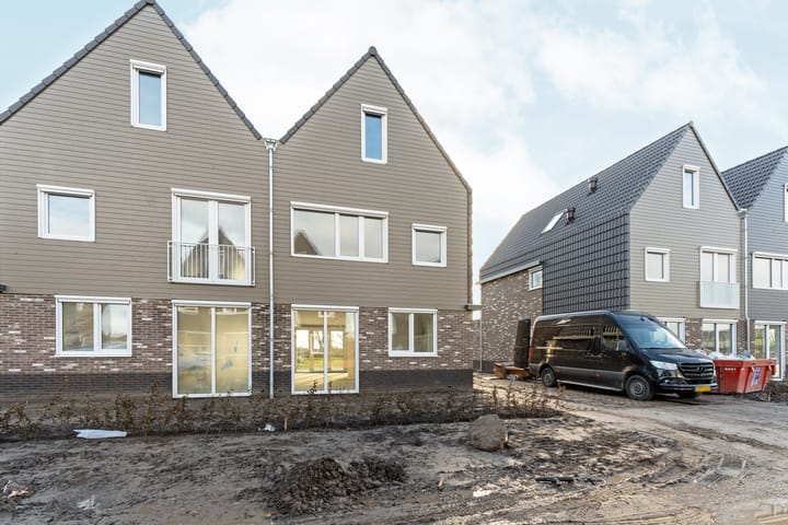 Photo 6 of Moerasorchidee 29