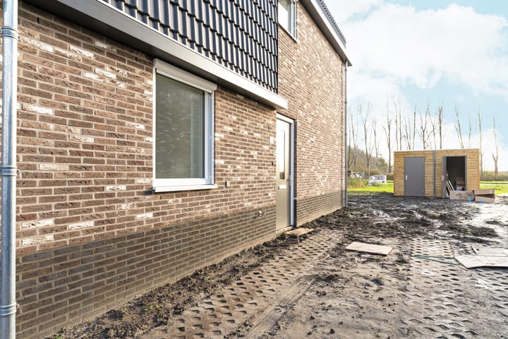 Photo 7 of Moerasorchidee 29