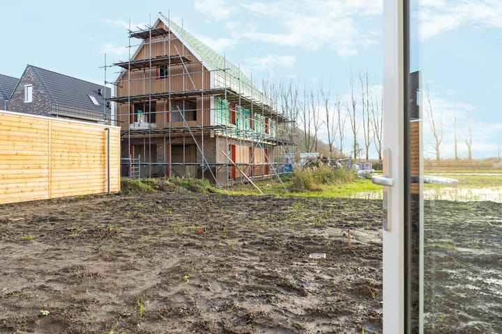 Photo 12 of Moerasorchidee 29