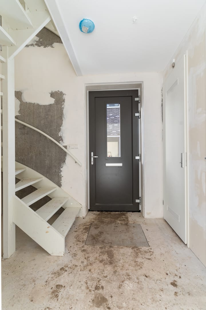 Photo 17 of Moerasorchidee 29