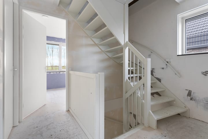 Photo 24 of Moerasorchidee 29