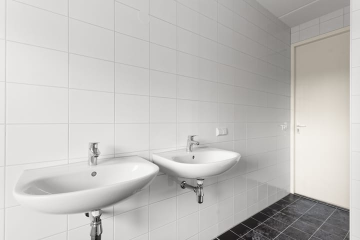 Photo 28 of Moerasorchidee 29