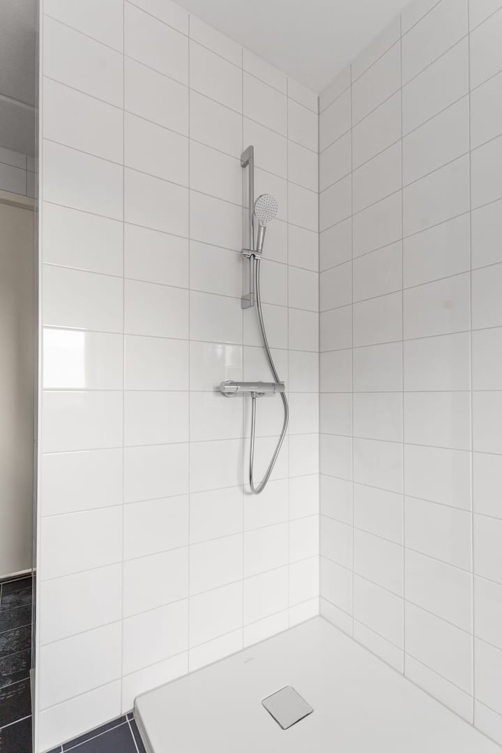 Photo 29 of Moerasorchidee 29