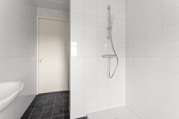 Photo 32 of Moerasorchidee 29