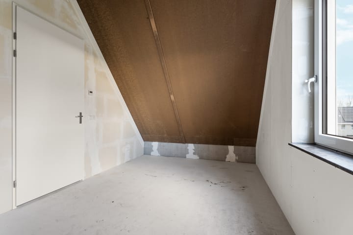 Photo 33 of Moerasorchidee 29