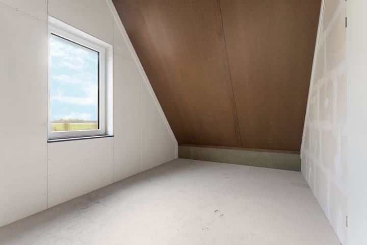 Photo 34 of Moerasorchidee 29