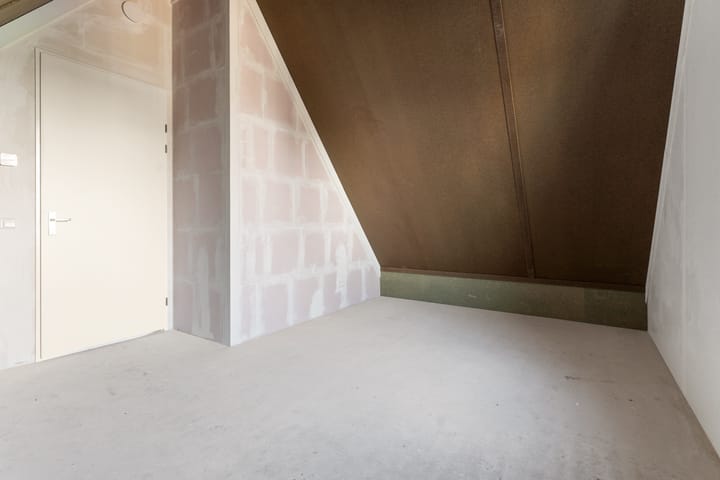 Photo 36 of Moerasorchidee 29