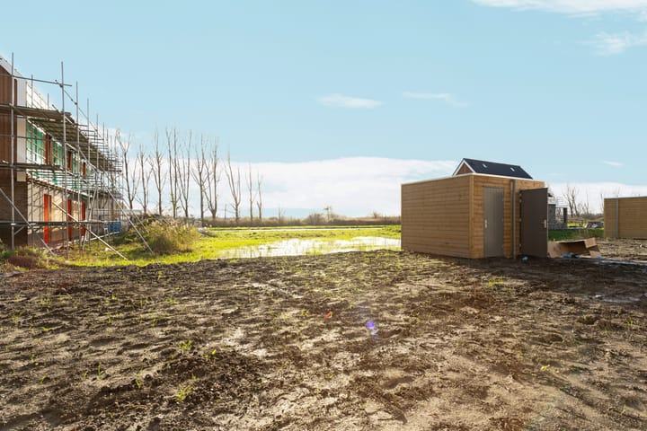 Photo 41 of Moerasorchidee 29