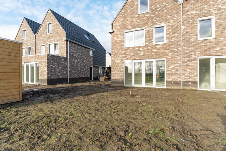 Photo 42 of Moerasorchidee 29