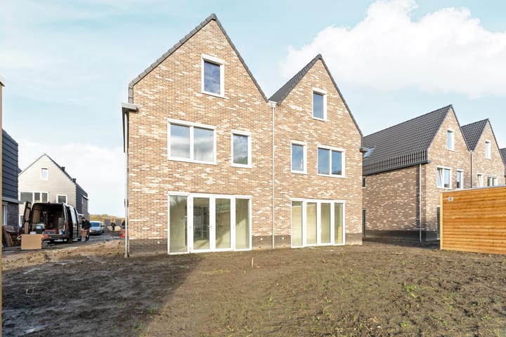 Photo 2 of Moerasorchidee 29