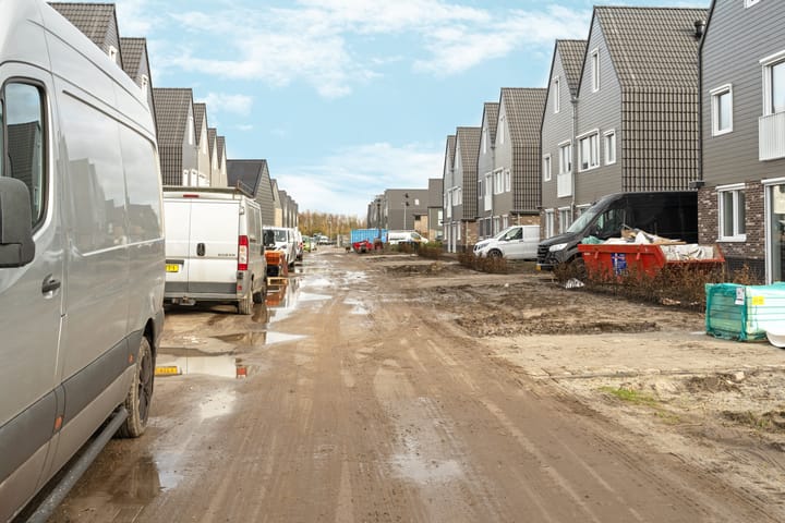 Photo 44 of Moerasorchidee 29