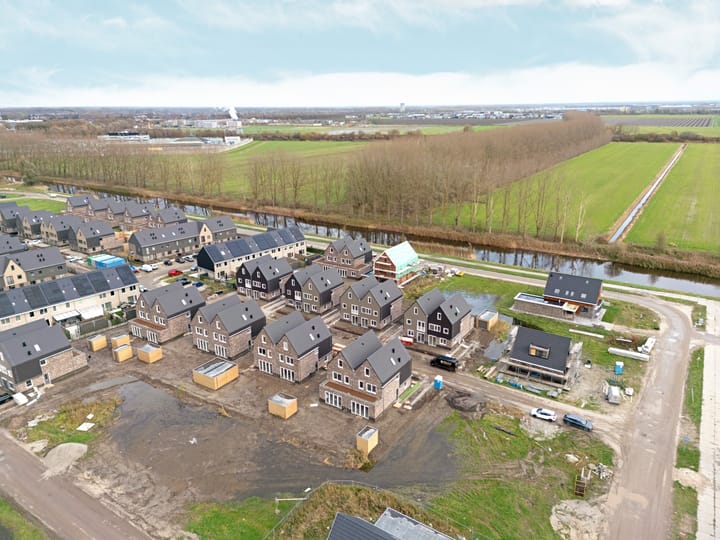 Photo 45 of Moerasorchidee 29