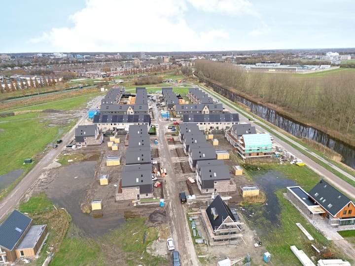 Photo 46 of Moerasorchidee 29