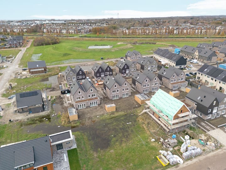 Photo 47 of Moerasorchidee 29