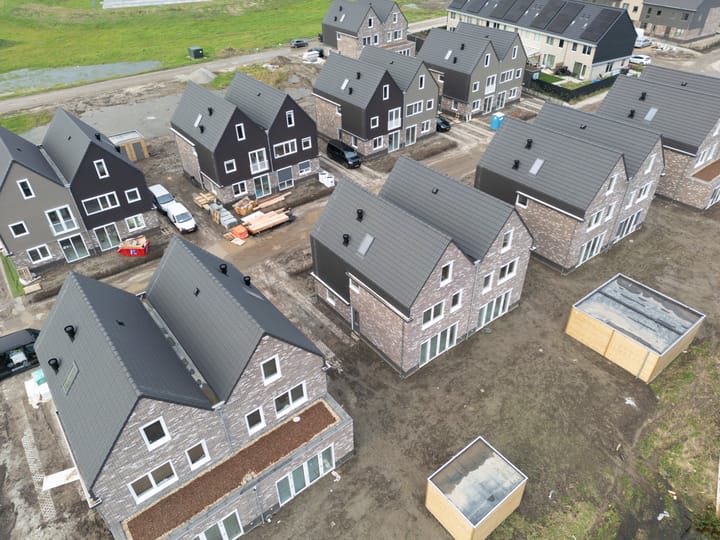 Photo 48 of Moerasorchidee 29