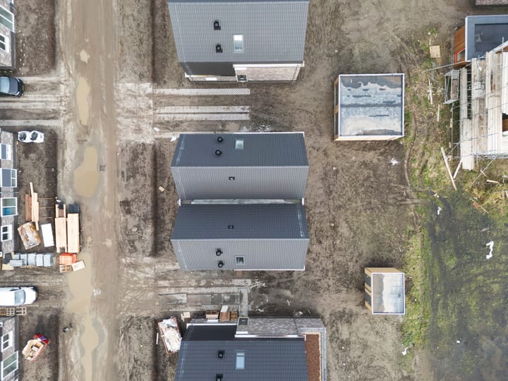 Photo 49 of Moerasorchidee 29