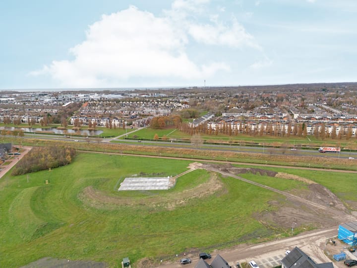 Photo 50 of Moerasorchidee 29