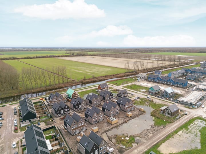 Photo 51 of Moerasorchidee 29