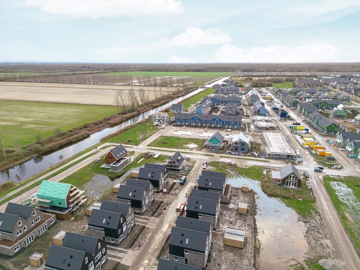 Photo 52 of Moerasorchidee 29