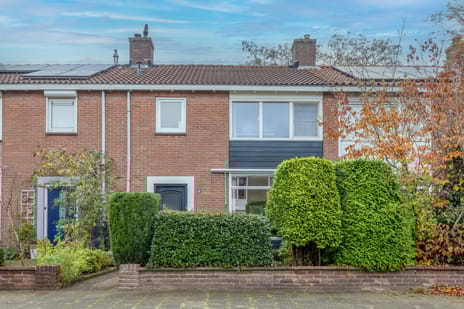 undefined main image