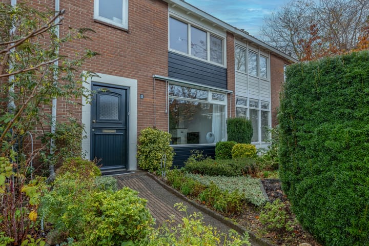 Foto 2 van Terpstraat 13