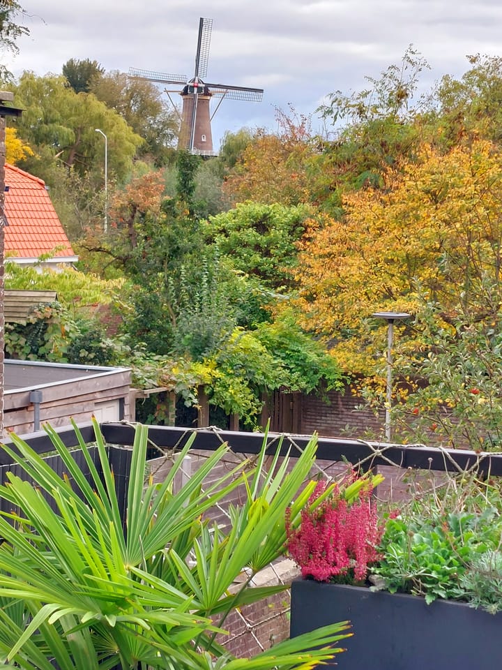 Photo 27 of Concordiaweg 25