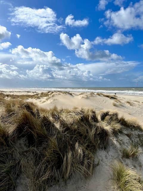 Foto 33 van Dr. Lelykade 230