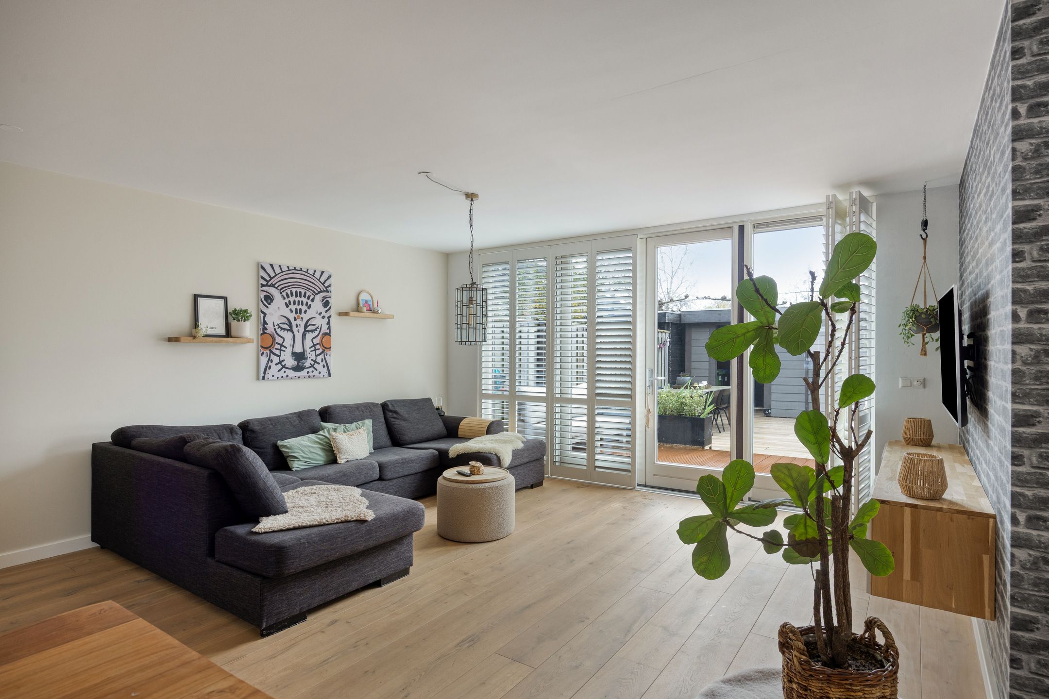 Photo 6 of Witte Klaver 54