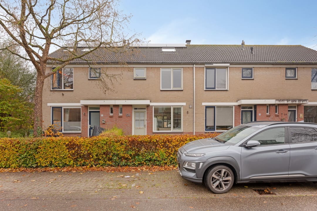 Photo 32 of Witte Klaver 54