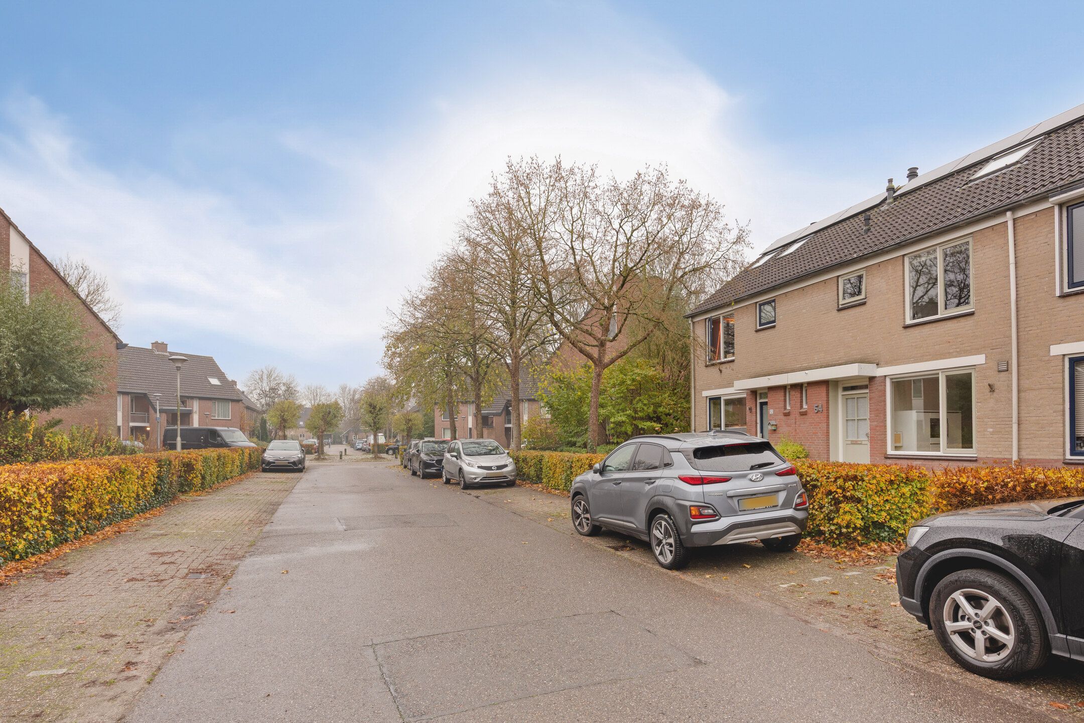 Photo 33 of Witte Klaver 54