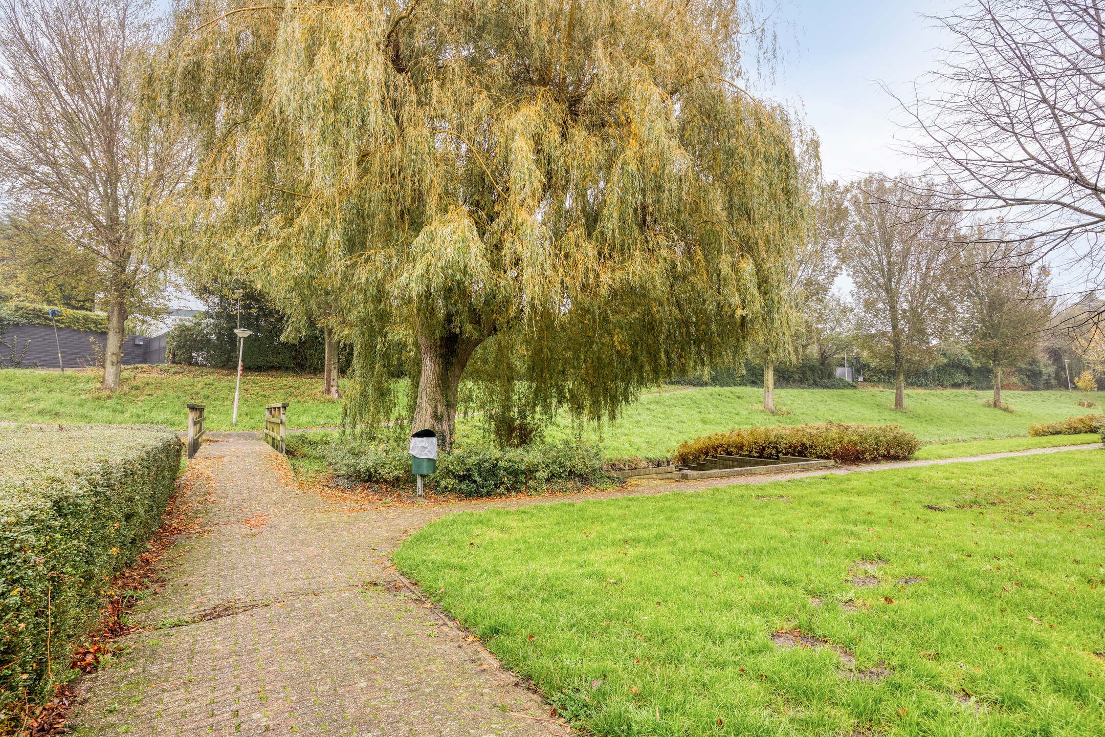 Photo 36 of Witte Klaver 54