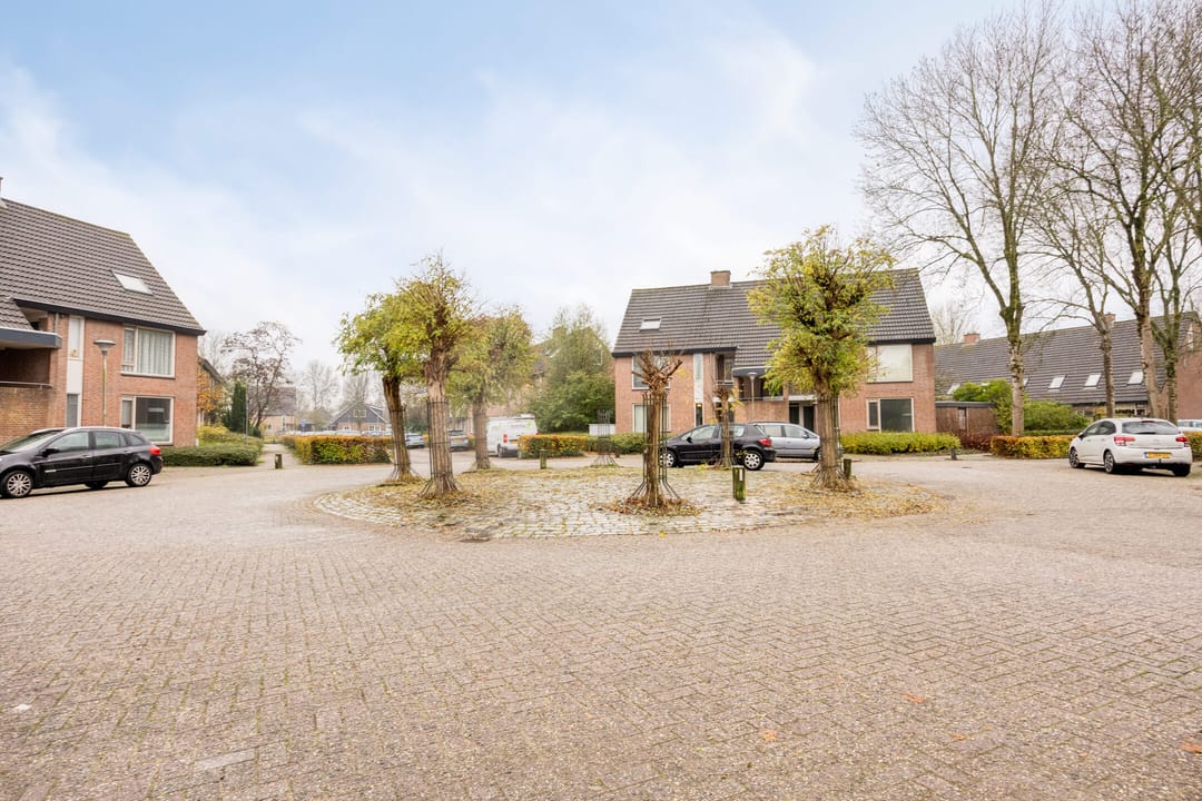 Photo 38 of Witte Klaver 54