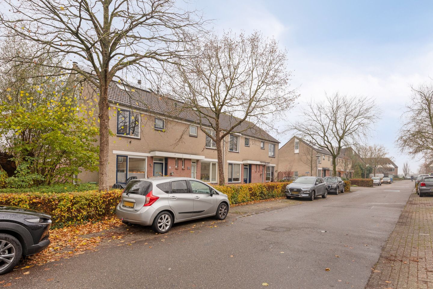 Photo 35 of Witte Klaver 54