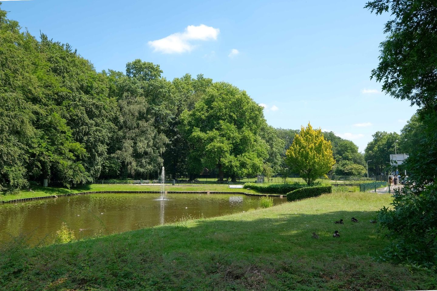 Photo 14 of Hagenborgh 11